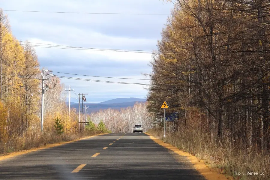 蘑阿公路