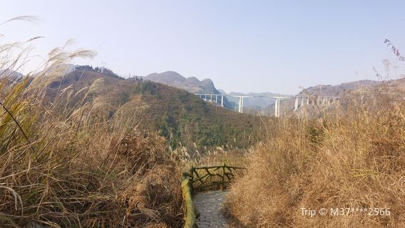 Twelve Bends Ancient Path