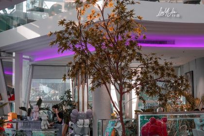 帝景壹号粤菜餐厅(美丽沙店)