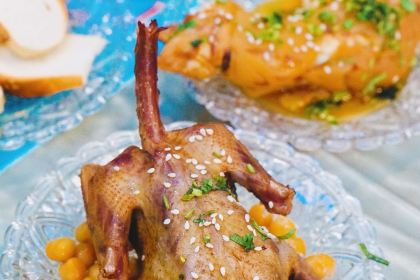 凯麦尔丁蓝鸽子