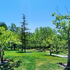 Xiaoyameishicun 여행 사진