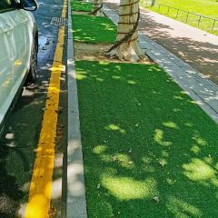 Xiaoyameishicun 여행 사진