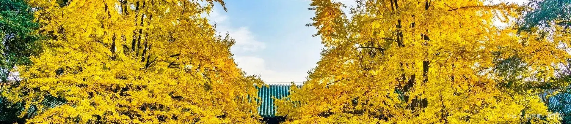 Herbstliche Sehenswürdigkeiten