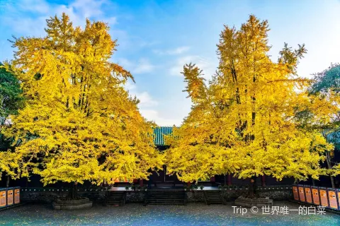 Yanhua Reservoir