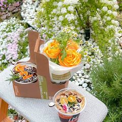 九月庭院咖啡馆(吉杨路店) User Photo