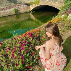 Canterbury User Photo