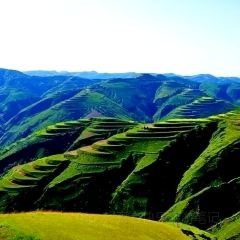 黄土高坡(晋绥东路店) User Photo