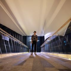 Bolintianruixilaidengjiudiandatangjiulang User Photo