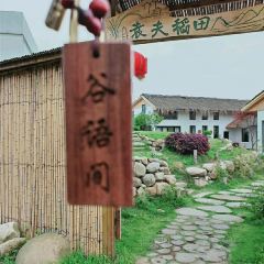 袁夫稻田火车餐厅 User Photo