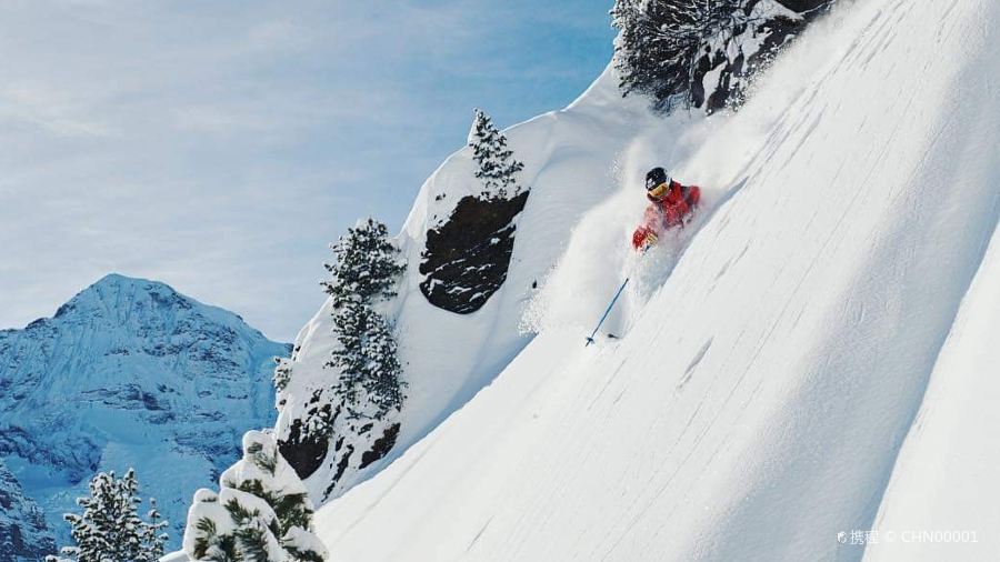 夏慕尼(桃園中山東店)