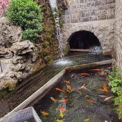 水上人家(苇泽关隧道店) User Photo