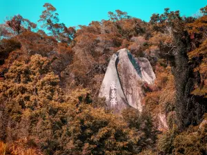 Xiamen Botanical Garden