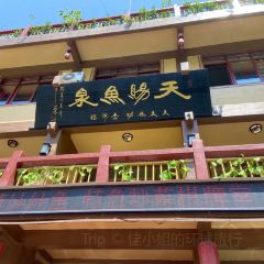 天赐鱼泉 User Photo