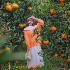 小馆·苔野 User Photo