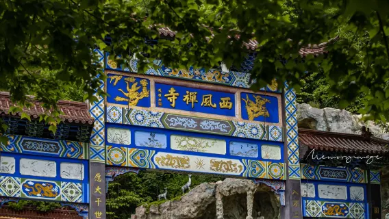 玩水避暑