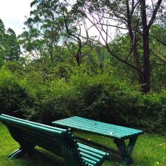 Vakona Forest Lodge User Photo