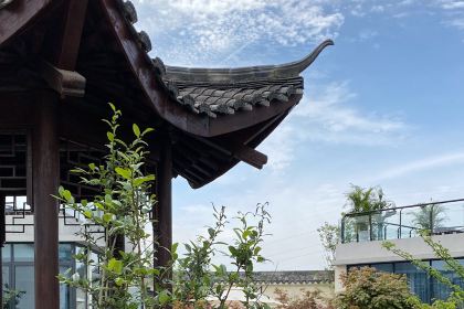 艺宿里民宿酒店(新津斑竹林公园店)·农博·艺宿里餐厅