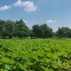 邻里印象 여행 사진