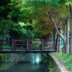 路肆·油坊餐廳ROOO.S張用戶圖片