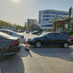 蓝海大饭店（东营东城府前大街店）·爱琴海自助餐厅 User Photo
