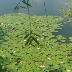 邻里印象 여행 사진