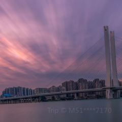 竹園中餐廳張用戶圖片