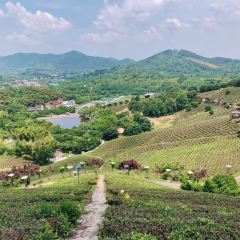Xinlongshengtaiyuan User Photo