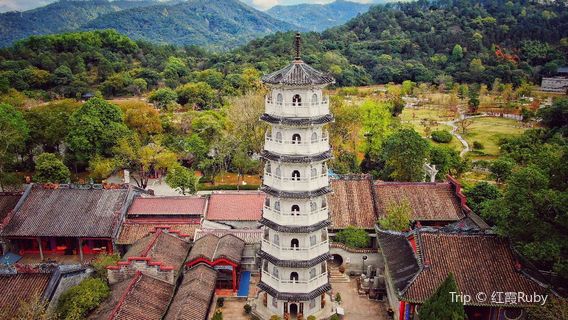 Patriarch's Hometown Tourist Resort