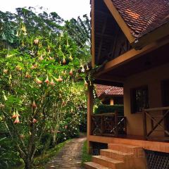 Vakona Forest Lodge User Photo
