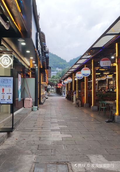 ZHANG GUAN GE ZHA NV ER CHENG DIAN