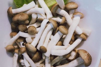 武國四物椰雞（泰豐千花島店）