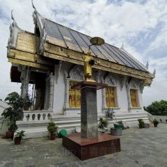 Pizza World Pepsicola User Photo