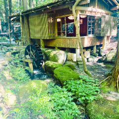 Sansai Cuisine Mitakien 여행 사진