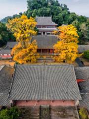 Ciyun Temple