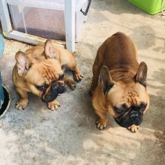 盖伦的院 User Photo