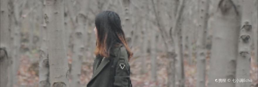 枫叶林(东方广场店)