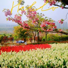 百花家园馨逸音乐餐厅 User Photo
