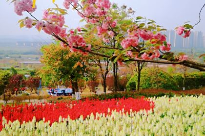 百花家园馨逸音乐餐厅