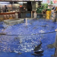 鱼鲜荟 User Photo