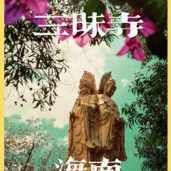 Zammai張用戶圖片