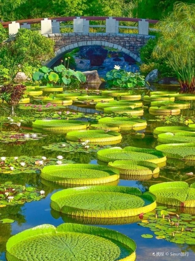 草津市
