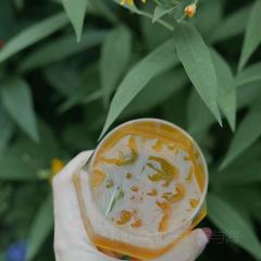 五季院子·中西料理·夜酒·派對（FAC協盛中心店）張用戶圖片