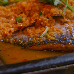 鐵匠烤魚（佳兆業店）張用戶圖片