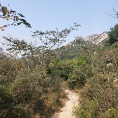蓟县盘山福春农家院 User Photo