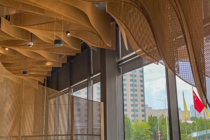 巴奴毛肚火锅(金水东路店)