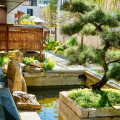 武夷山观蓝舒苑空间·餐厅 User Photo