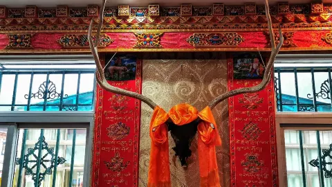SHENG DE ZHUO LONG CANG GU YAN in Bome