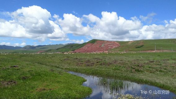 Gesar Flower Grassland