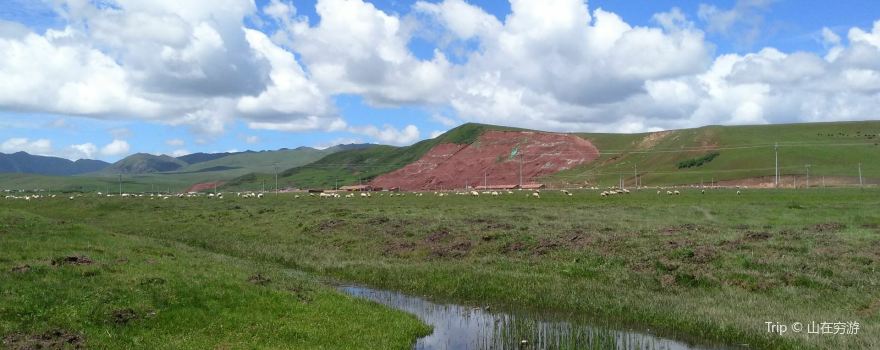 Gesar Flower Grassland