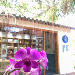 庄园餐厅咖啡鸡本地特色菜 User Photo